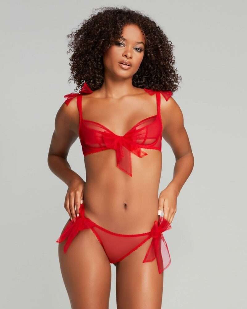 Red Mesh See-through Lingerie Set - Image 8