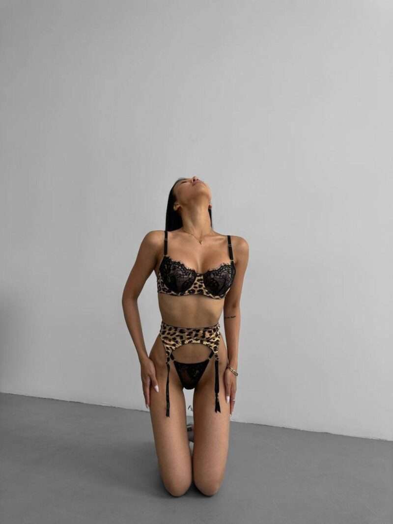 Sexy Leopard Print Lingerie  Set - Image 4